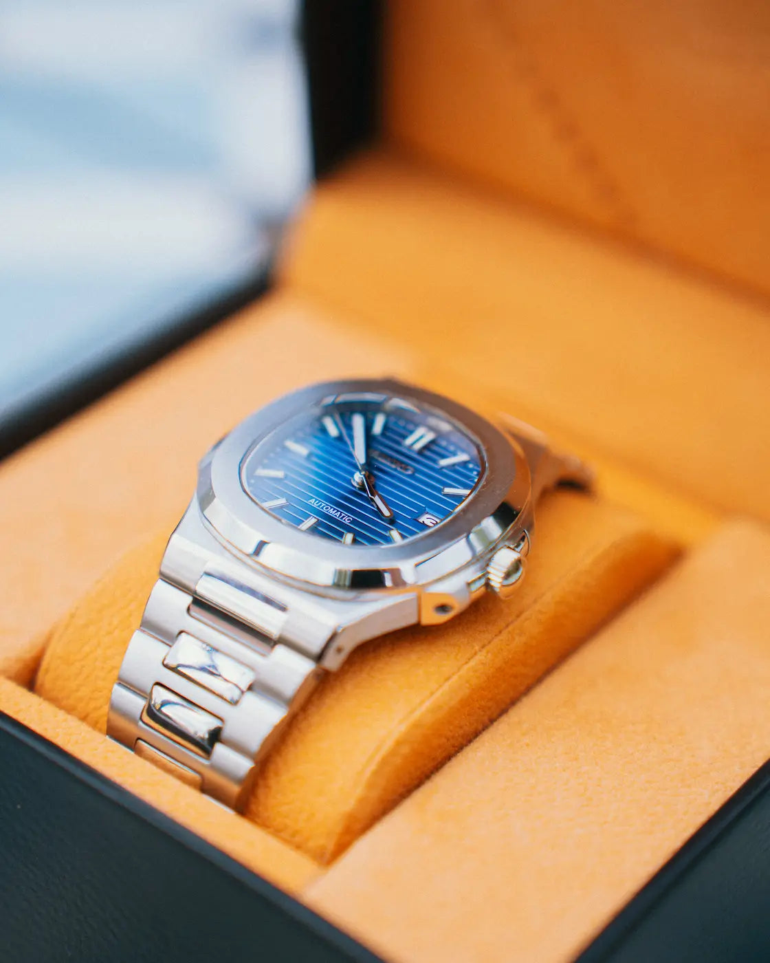 Pelagus Navy